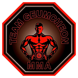 Team Geumcheon 로고